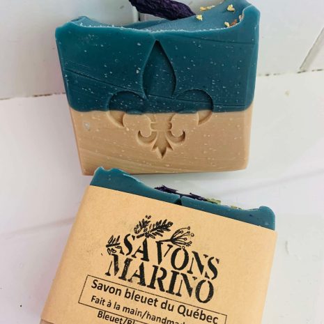 bleuets-quebec bleuets-quebec