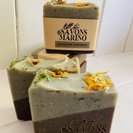 sinature-portneuf sinature-portneuf